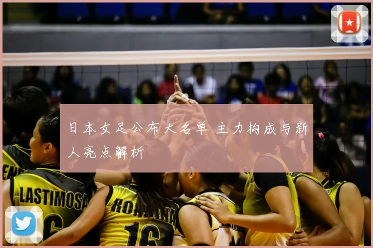 日本女足公布大名单 主力构成与新人亮点解析