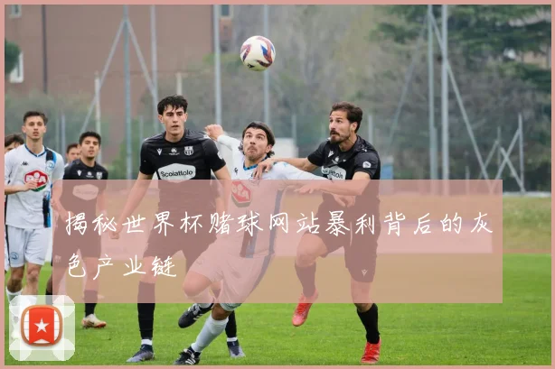 揭秘世界杯赌球网站暴利背后的灰色产业链
