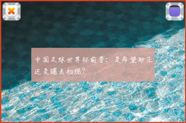 中国足球世界杯前景:是希望渺茫还是曙光初现?