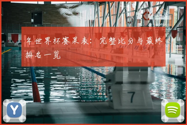 年世界杯赛果表：完整比分与最终排名一览