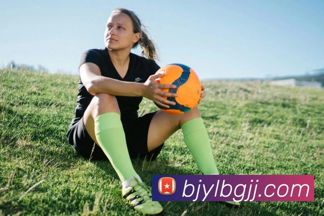 华体官网登录平台生态图